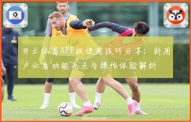 开云体育APP版使用技巧分享:新用户必看功能亮点与操作体验解析