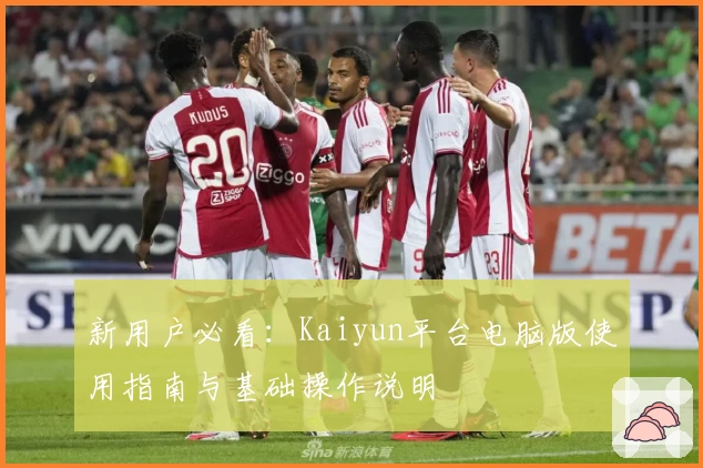 新用户必看:Kaiyun平台电脑版使用指南与基础操作说明